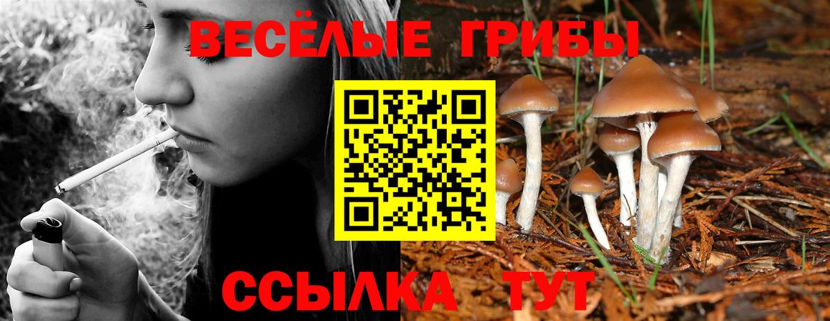 Галлюциногенные грибы Cubensis  Вход с VPN  Асбест 